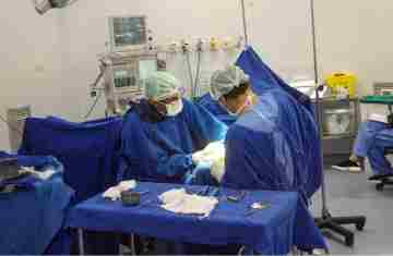  Com 786 mil cirurgias eletivas, Paraná alcança recorde de procedimentos em 2025